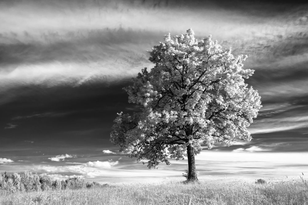 Photograph by Александр Рындин