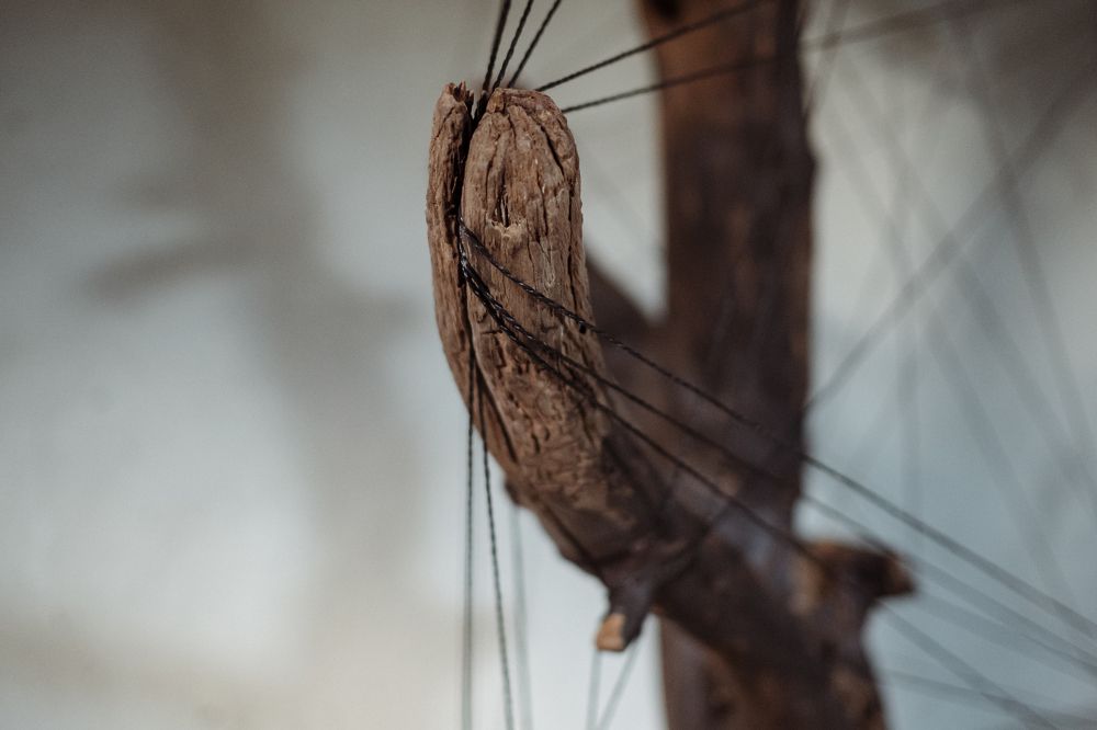 Photograph by Городничева Елена