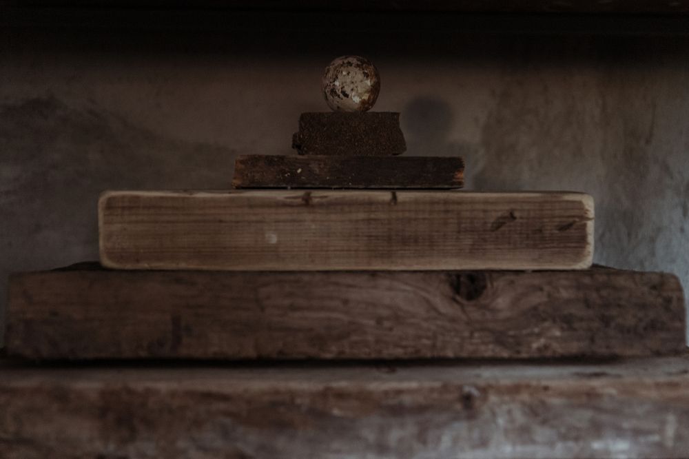 Photograph by Городничева Елена