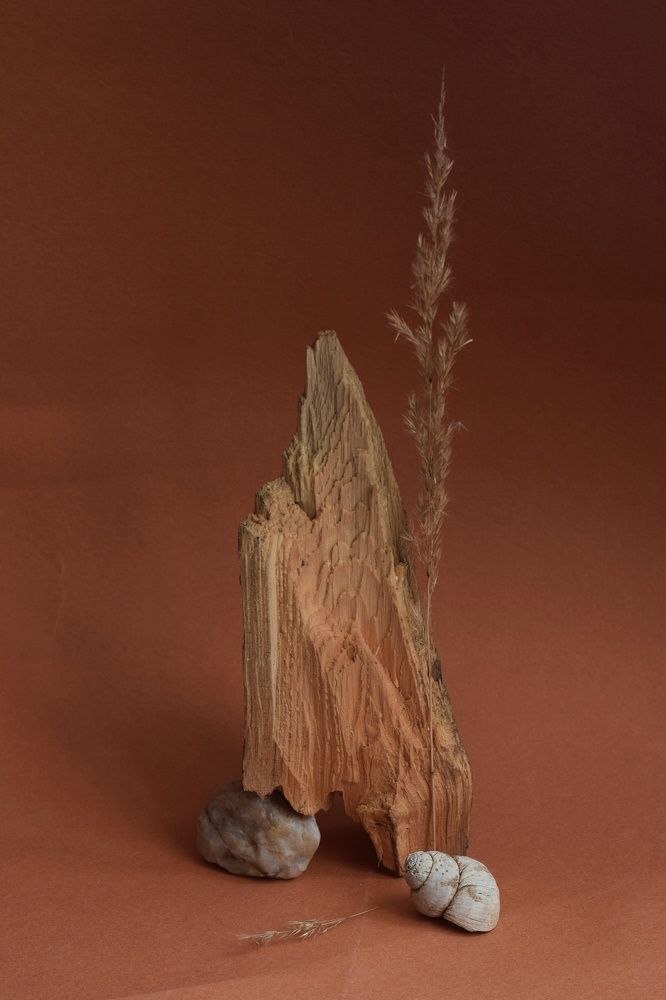 Photograph by Екатерина Долова