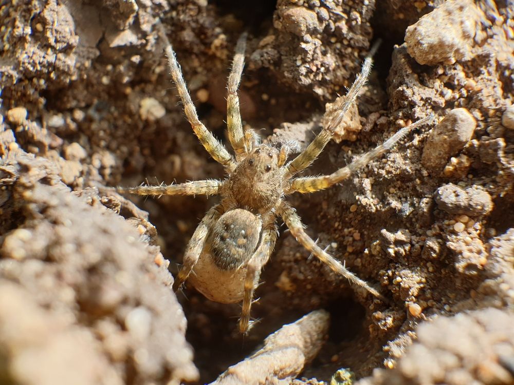 Фотография автора Vikram Trivedi