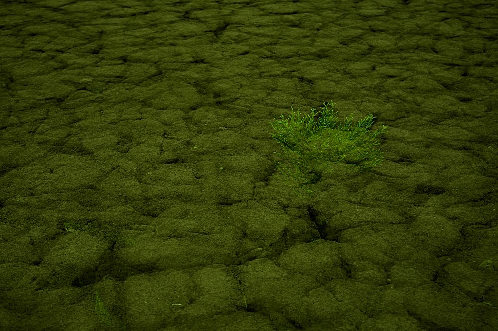 Photograph by Moulay Ahmed KASSI