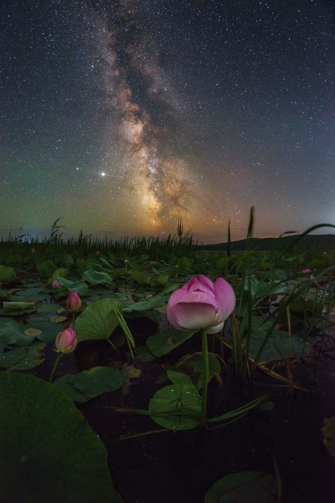 Фотография автора Антон Комлев