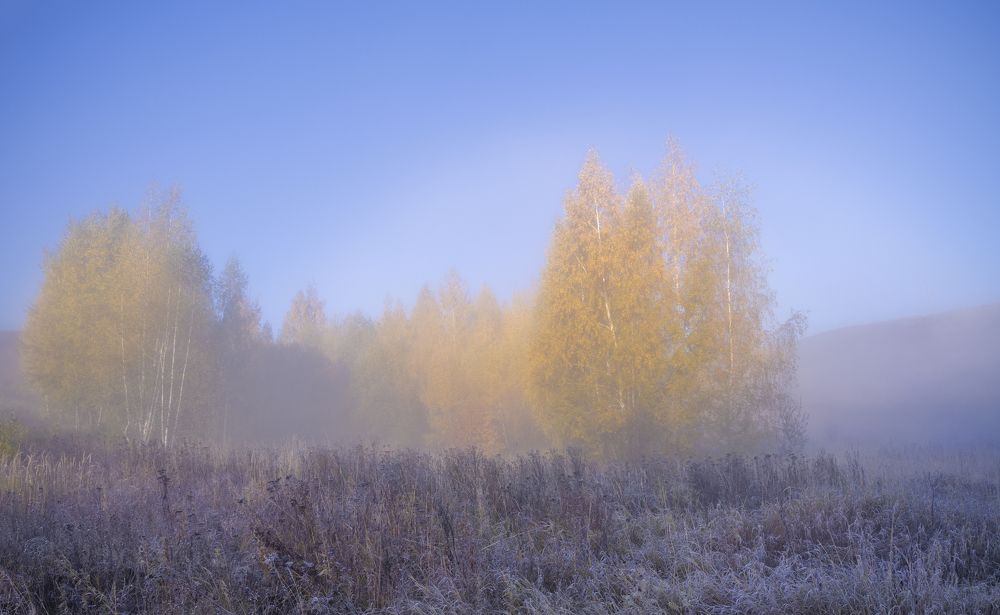 Photograph by Сергей