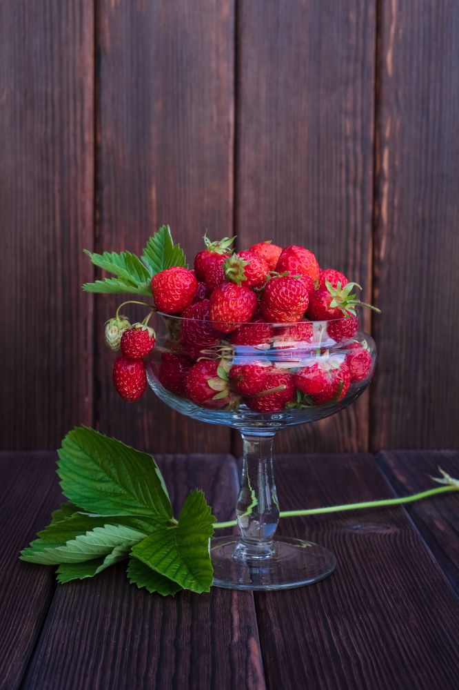 Photograph by Кадырова Анастасия