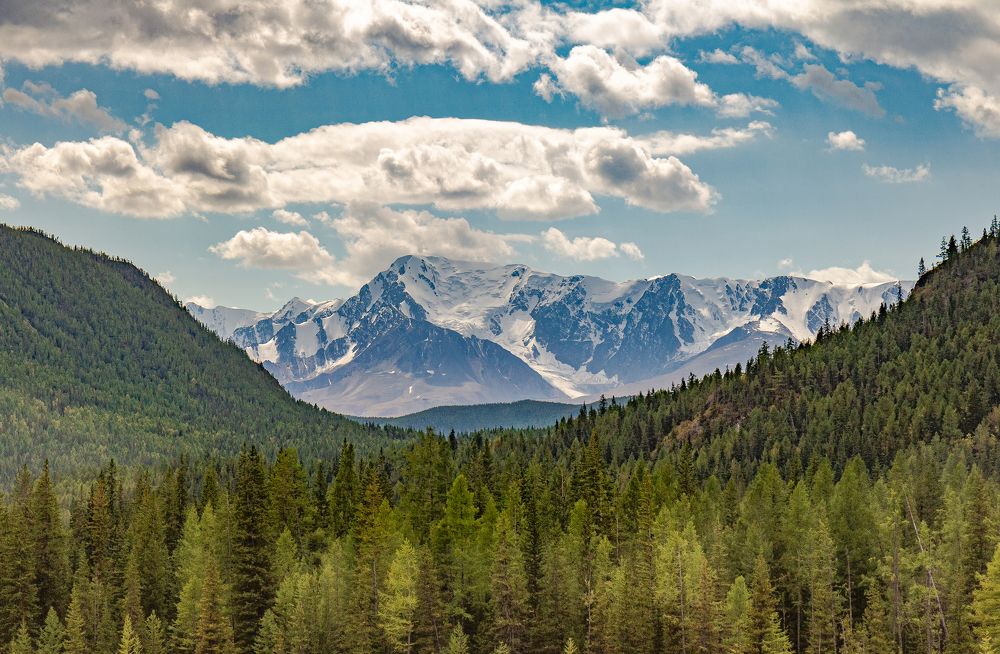 Photograph by Игорь Радионов