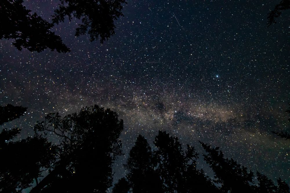 Photograph by Анна Гиндендорф