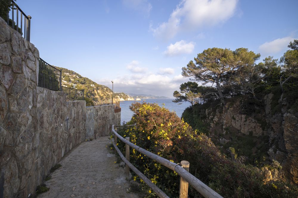 Photograph by Сергей