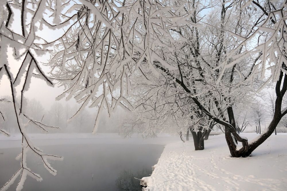 Пейзаж в белом