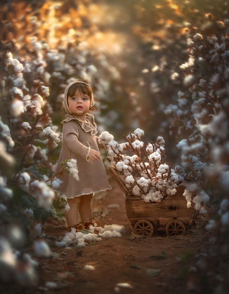 Photograph by yarden kaplan