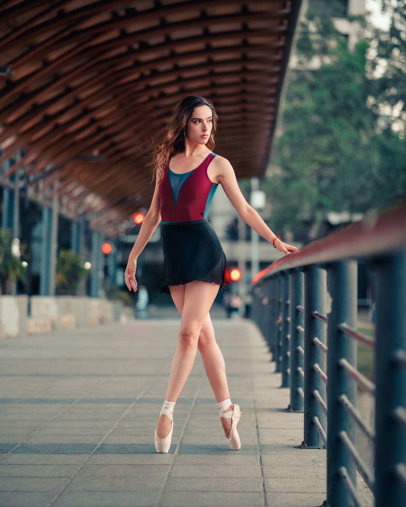 Photograph by Darwin