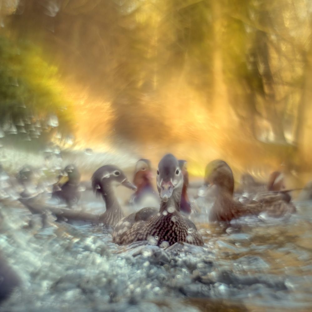 Photograph by Urszula Frydrych