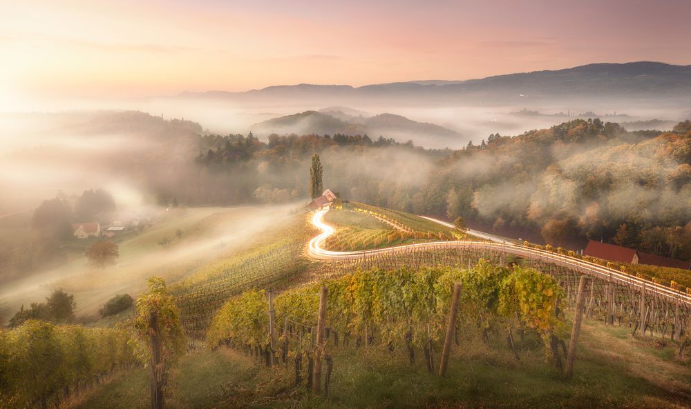 Фотография автора Daniel Trippolt