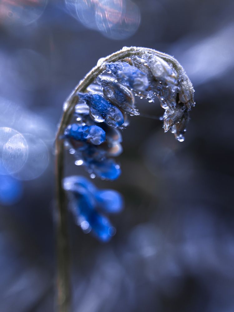 Photograph by Анна Бобкова