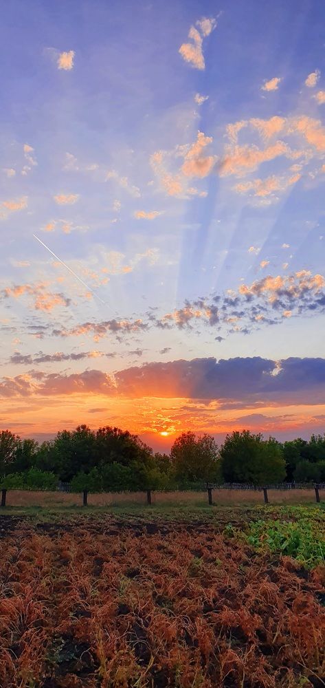 На рассвете