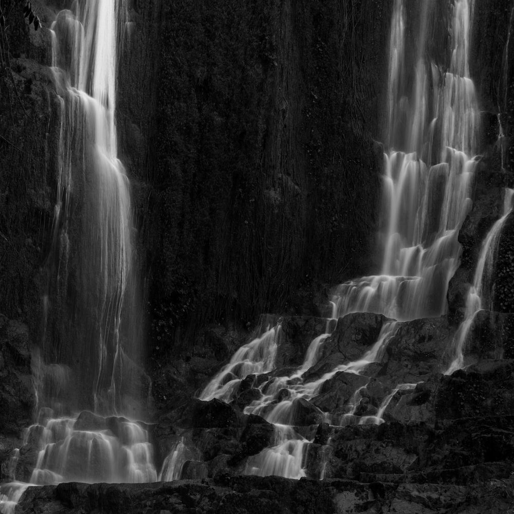 Photograph by Saurav Kumar Boruah