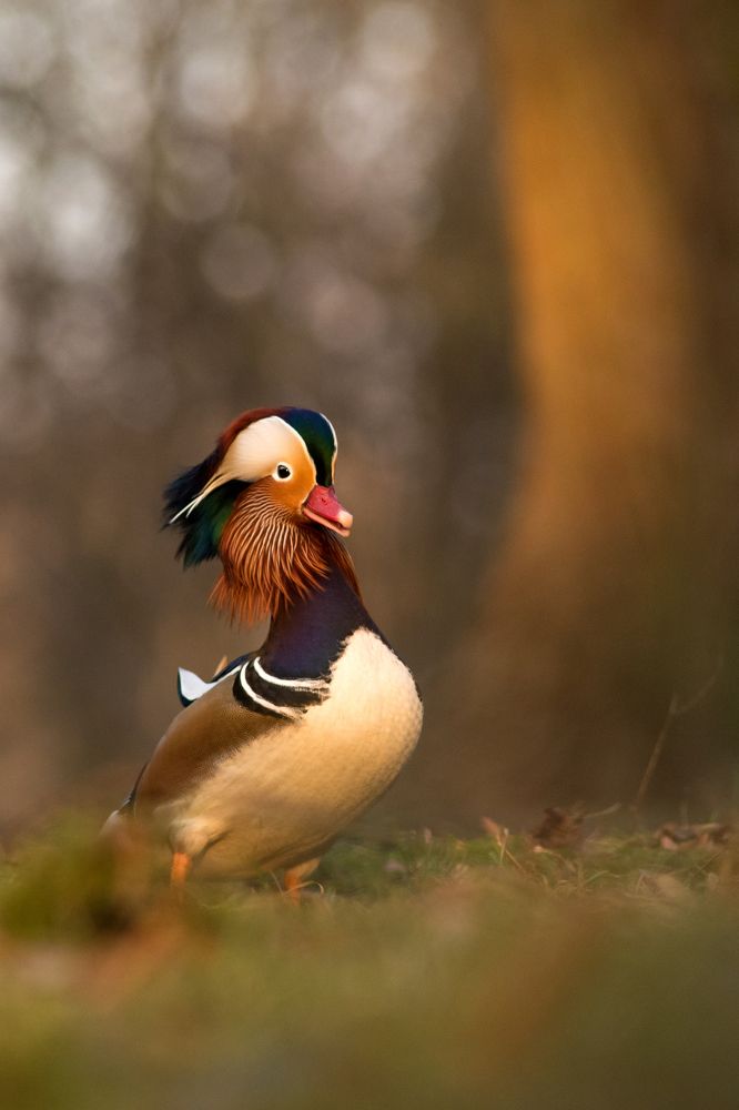 Photograph by Urszula Frydrych