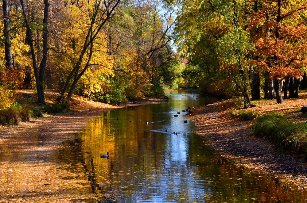 Золото осени