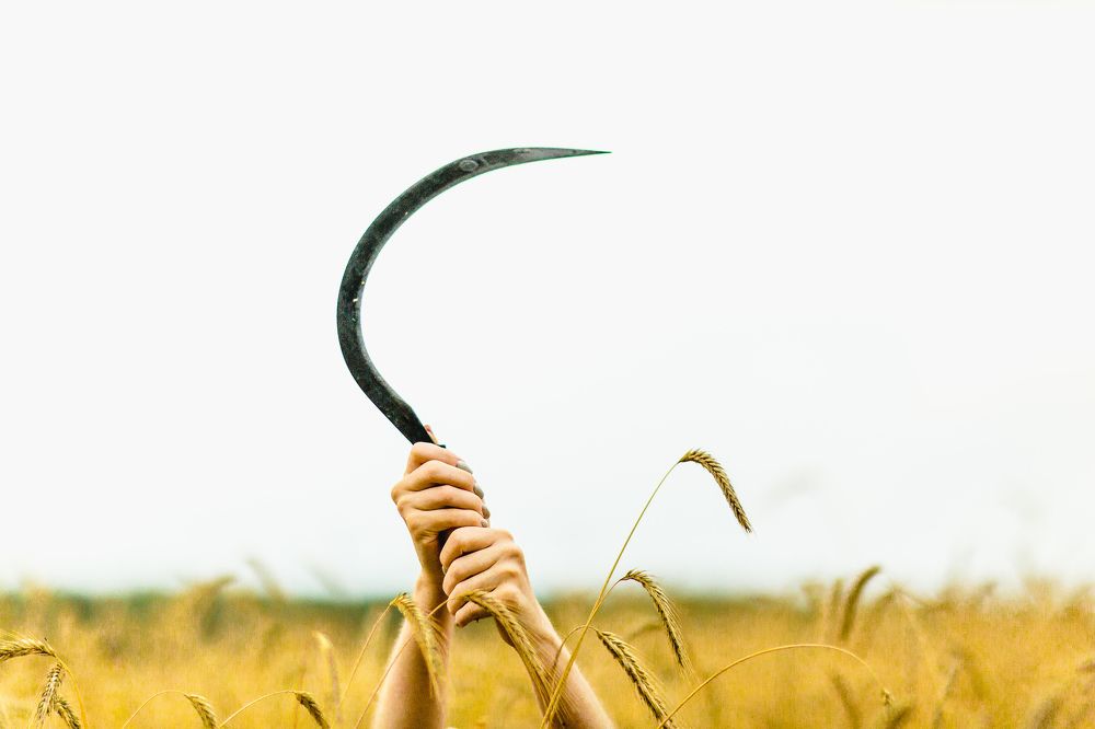 Photograph by Павел Байдаков