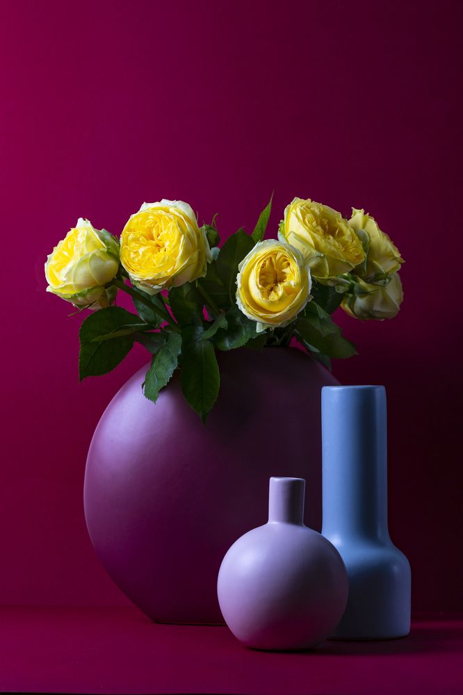 Photograph by Рут