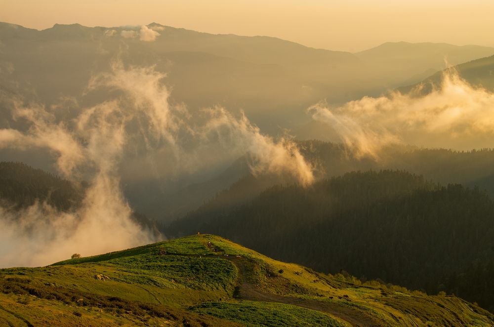 Photograph by Константин Семенов