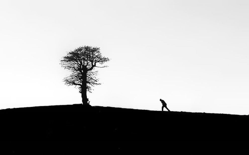 Photograph by Masoumeh Rahimi