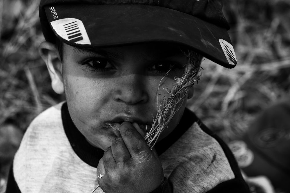 Photograph by Masoumeh Rahimi