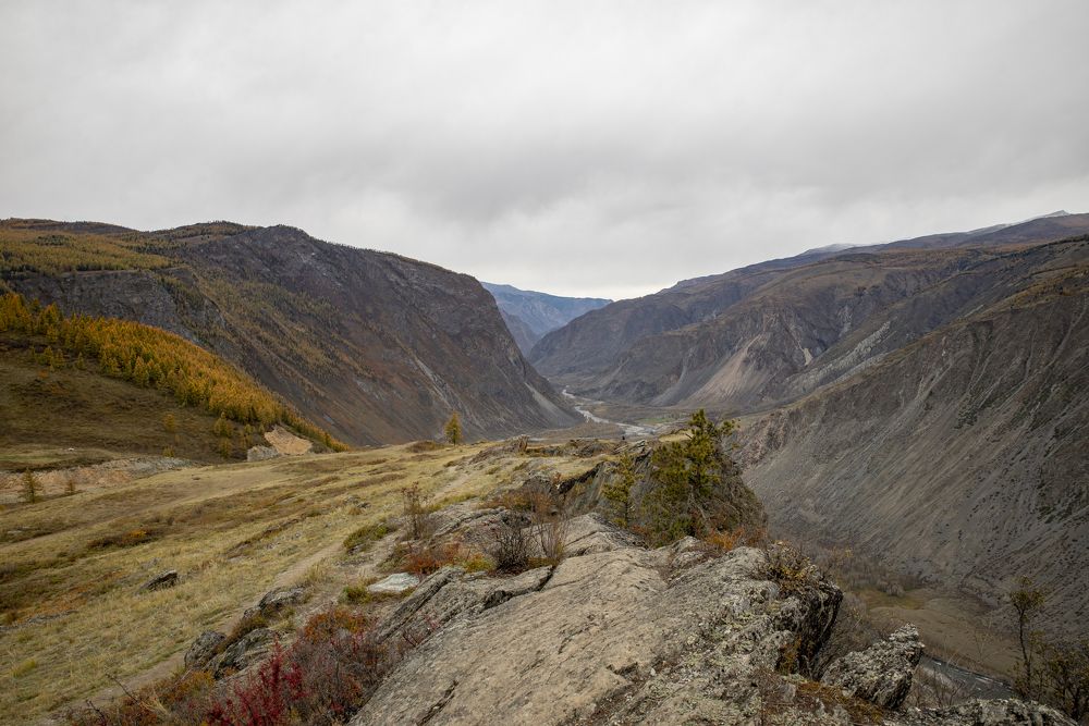 Photograph by Ольга Лукахина