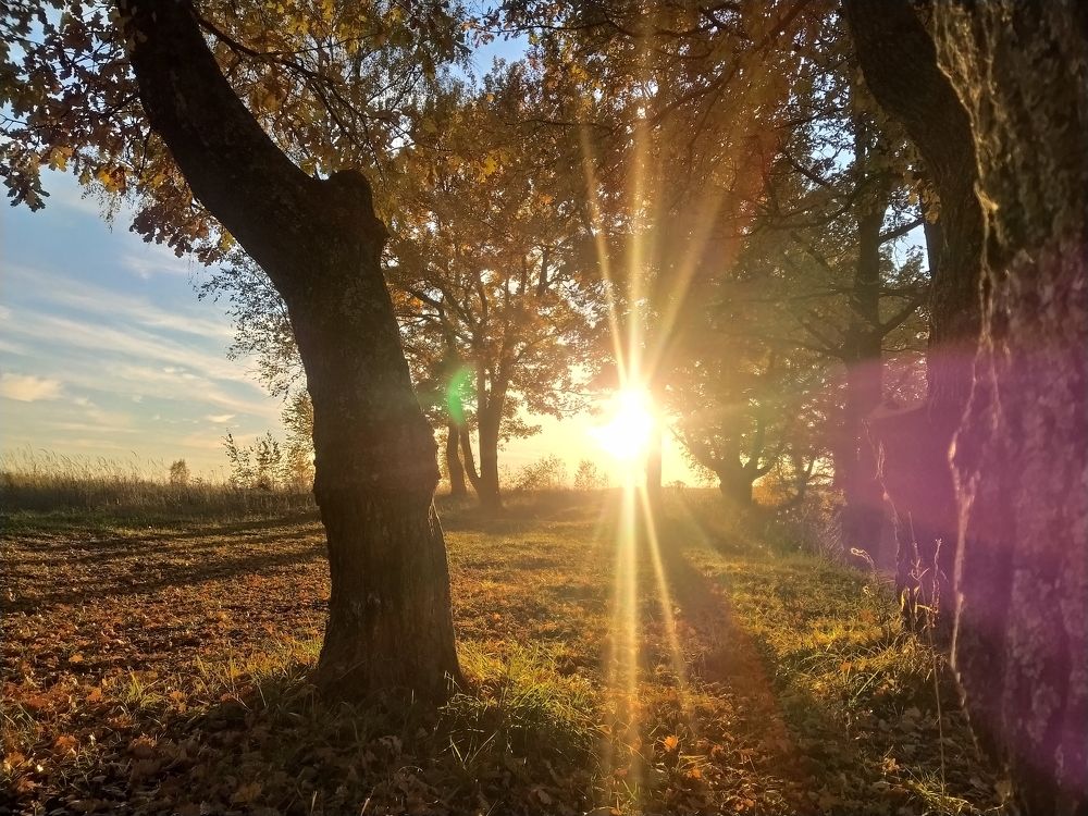 Photograph by Юрий Яценик