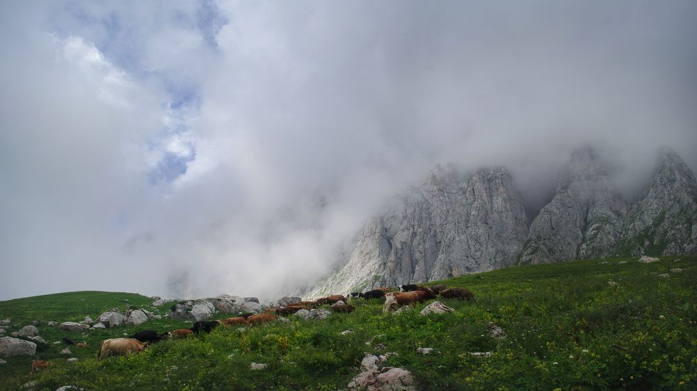 Photograph by Денис Орехов