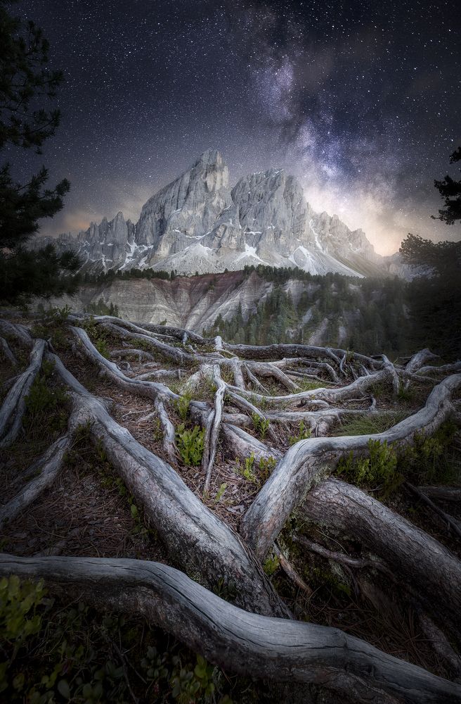 Фотография автора Daniel Trippolt