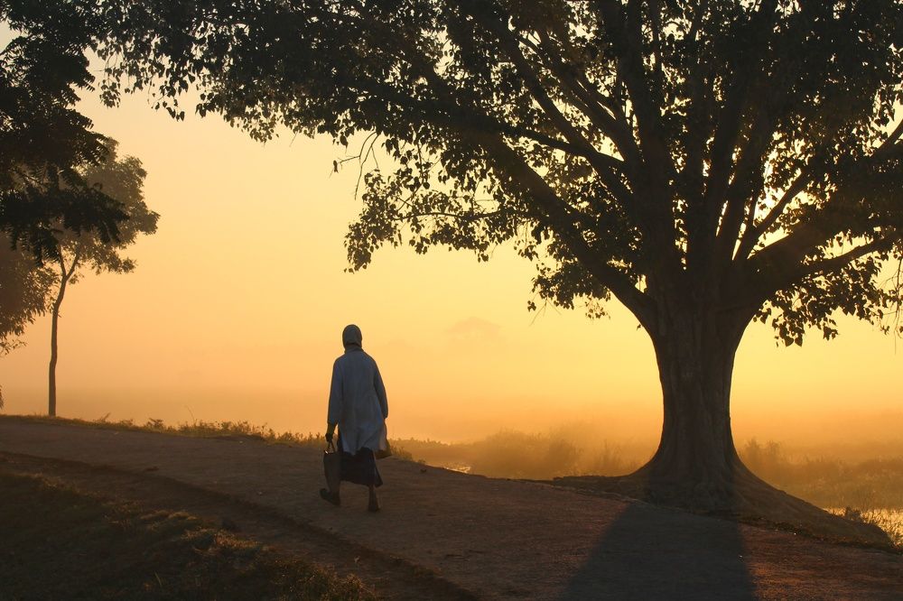 Photograph by Fuad sarker