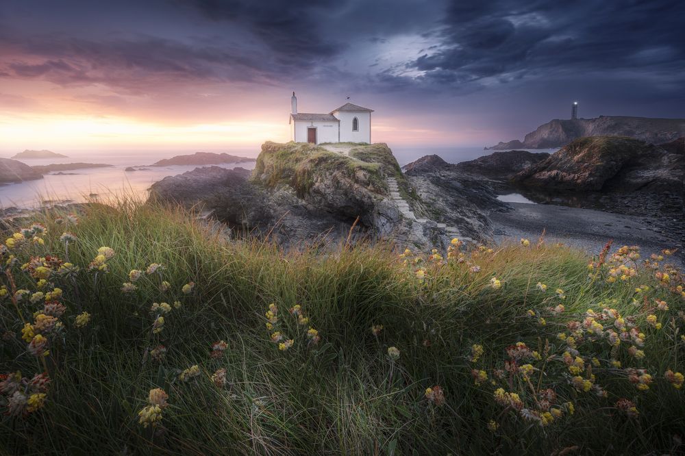 Фотография автора Daniel Trippolt