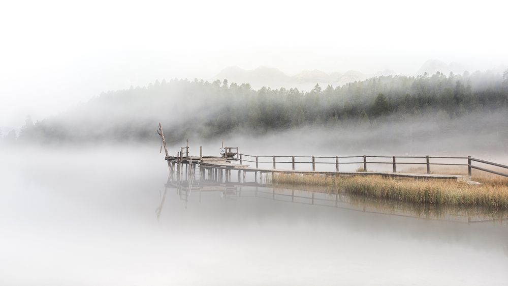 Фотография автора Daniel Trippolt