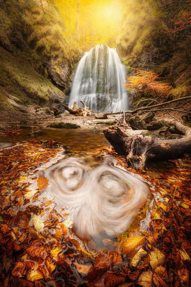 Фотография автора Daniel Trippolt