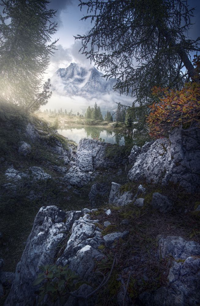 Фотография автора Daniel Trippolt