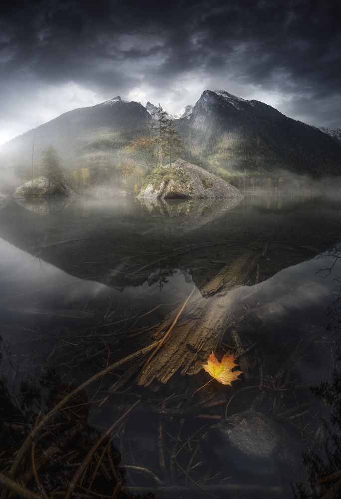 Фотография автора Daniel Trippolt