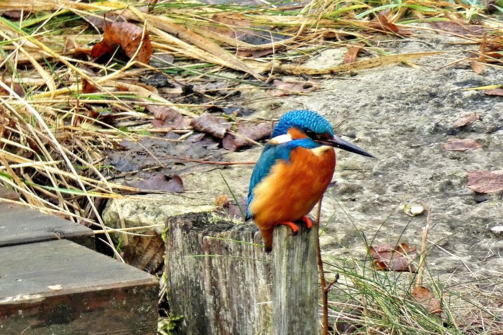 Photograph by backareva irina