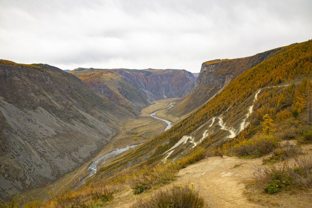 Photograph by Ольга Лукахина