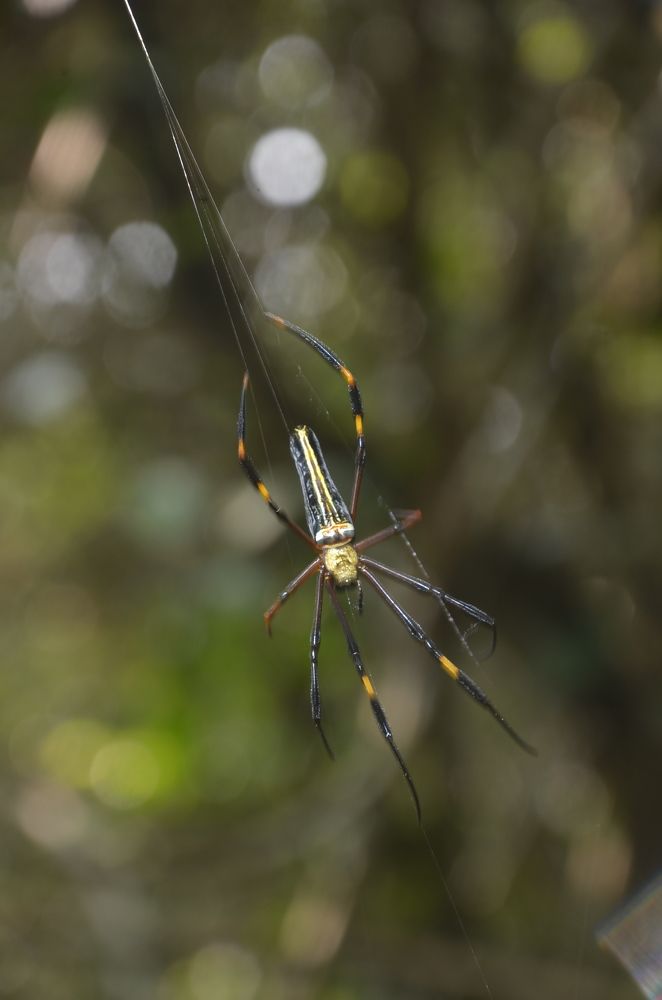 Photograph by Sachin Kamble