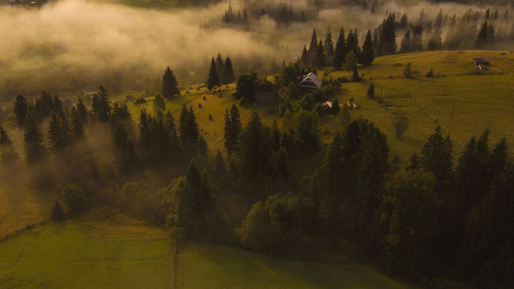 Photograph by Юрий Кравцов