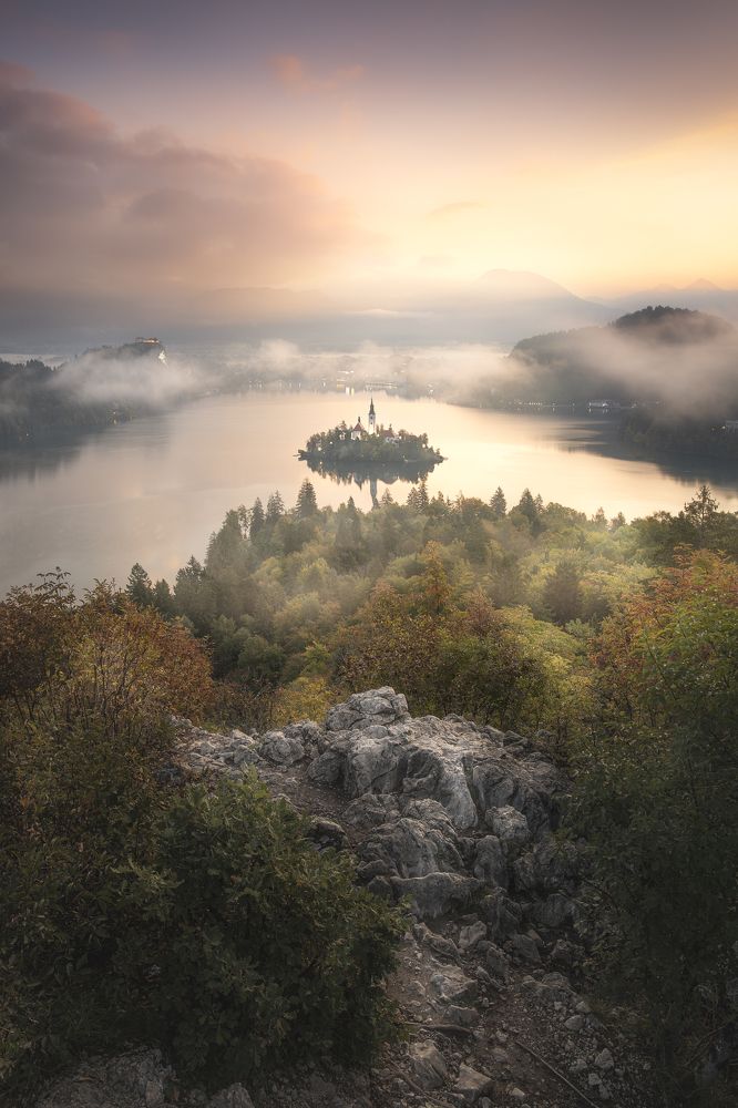 Фотография автора Daniel Trippolt