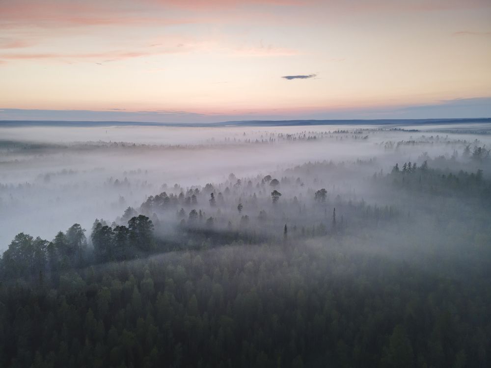 Photograph by Татьяна Борисова