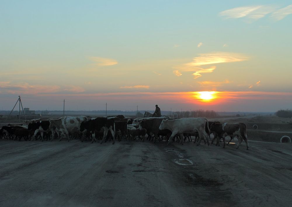 Photograph by Юрий Варюхин