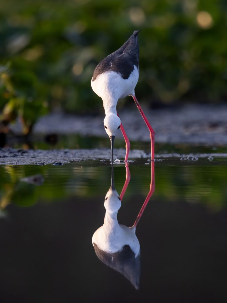 Photograph by Jeffrey Simon