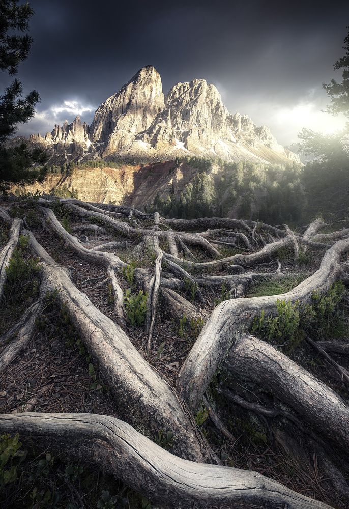 Фотография автора Daniel Trippolt