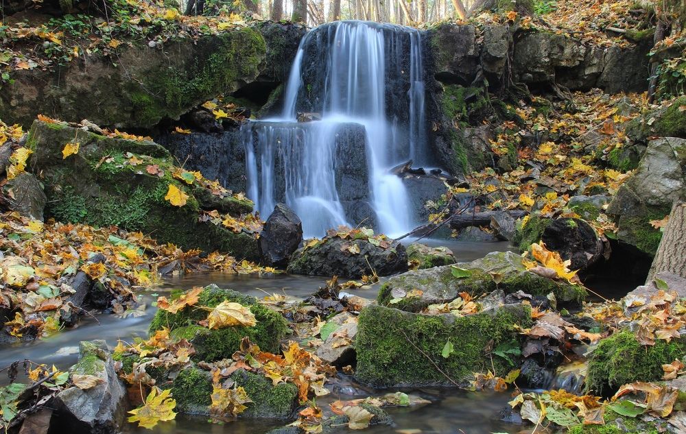 Photograph by Суетинов Евгений