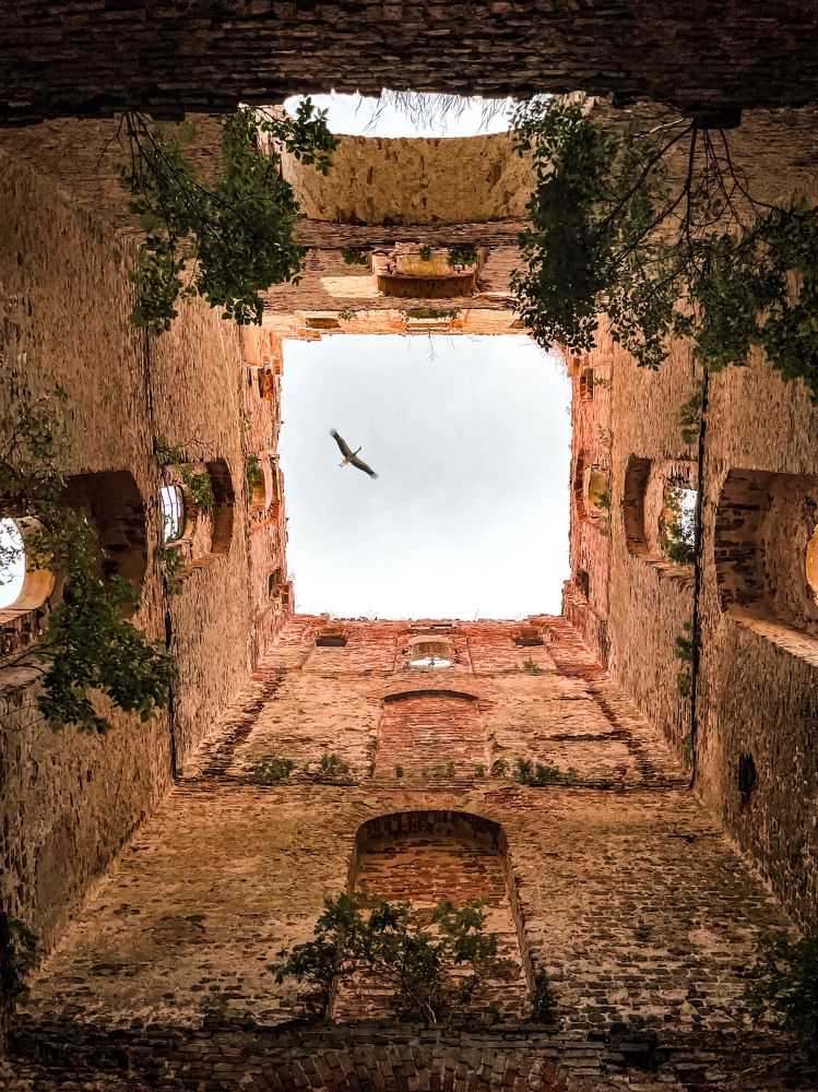 Photograph by Анастасия Маслова