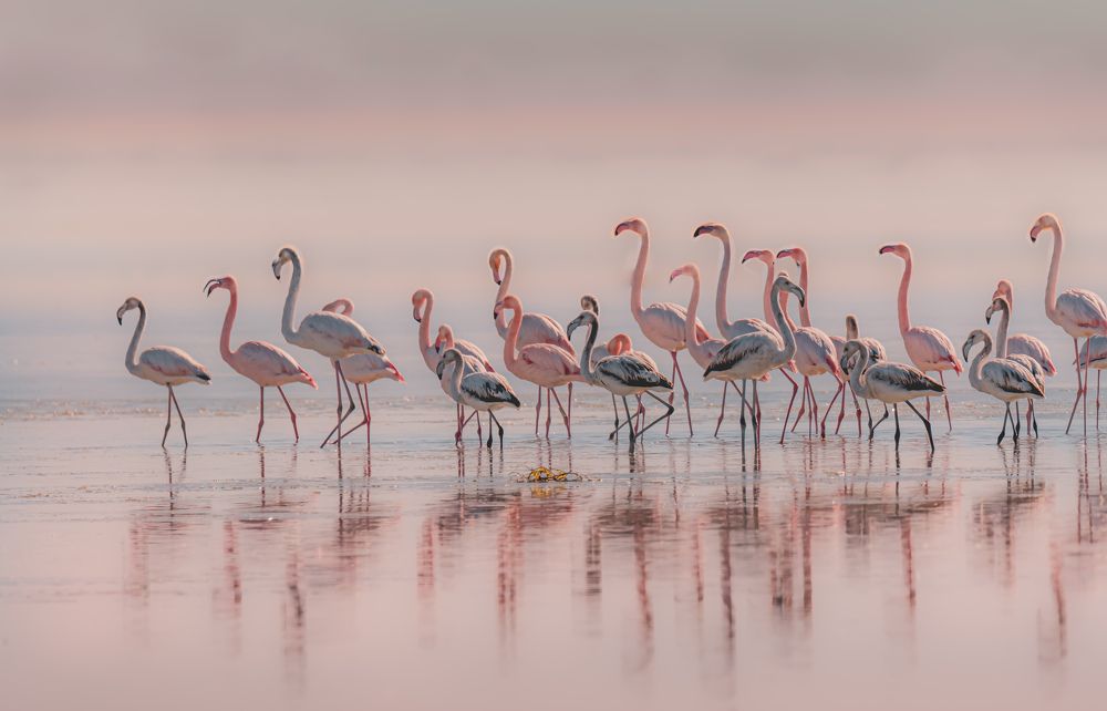 Photograph by Iñigo Yvorra