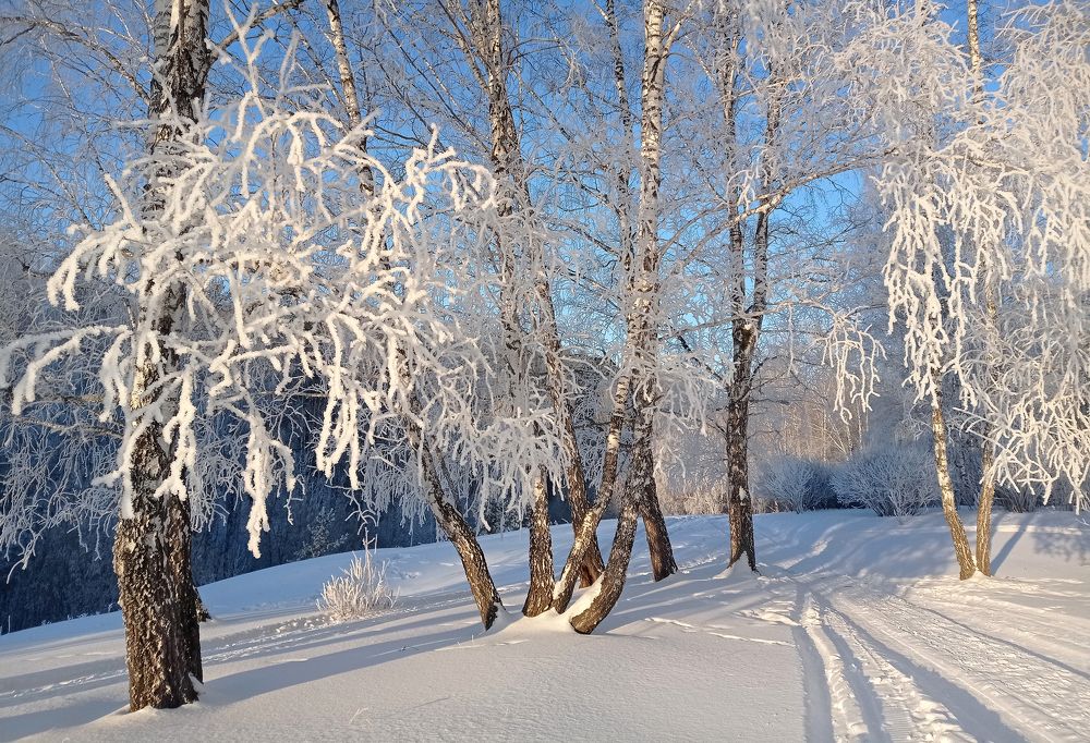 Фотография автора Кухта Мария